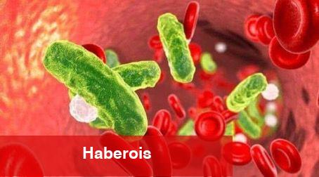 Yeni bir mikrop keşfedildi; tüm insanlık tehlikede - Haberois Yeni bir mikrop keşfedildi; tüm insanlık tehlikede