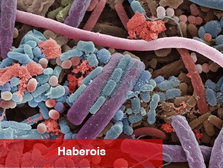 Yeni bir mikrop keşfedildi; tüm insanlık tehlikede - Haberois Yeni bir mikrop keşfedildi; tüm insanlık tehlikede