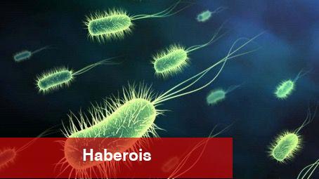Yeni bir mikrop keşfedildi; tüm insanlık tehlikede - Haberois Yeni bir mikrop keşfedildi; tüm insanlık tehlikede
