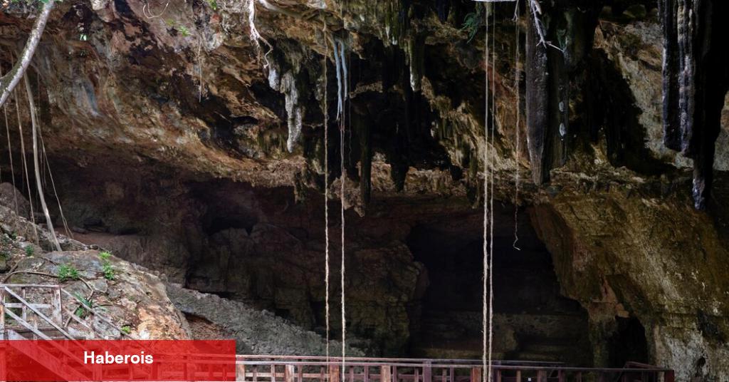 Yeni Bir Tren Yucatán'ı İyiye veya Kötüye Açıyor