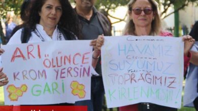 Yeşilüzümlü'de krom tesisi davasında yeni gelişme