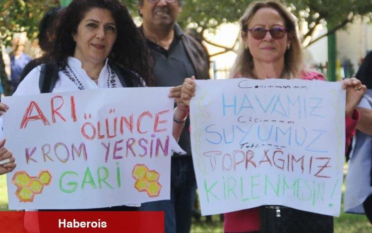 Yeşilüzümlü'de krom tesisi davasında yeni gelişme - Haberois Yeşilüzümlü'de krom tesisi davasında yeni gelişme