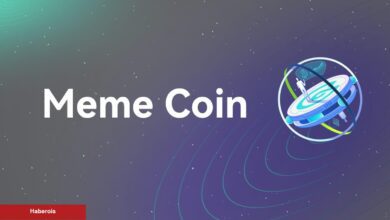 Yüksek Risk, Yüksek Ödül: Göğüs Coin’ler En İnançlı Halde Nasıl Alınır?