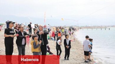 24. Edremit Uçurtma Şenliği