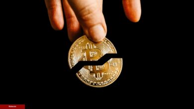 4. Bitcoin Halving Gerçekleşti: Neler Oldu? Fiyat Nasıl Reaksiyon Verdi?