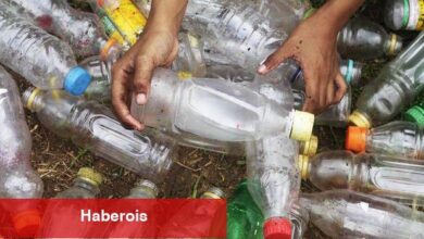 AB kimi tek kullanımlık plastik ambalajları yasaklıyor