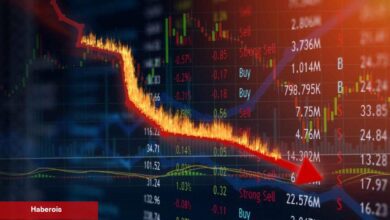 Açıklandı: ABR Coin ve Bu 7 Büyük Altcoin Yatırımcılarını Üzdü!