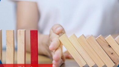 Aile ve Sosyal Hizmetler'den 'şiddete karşı' üçüncü araştırma