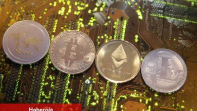Altcoin Analisti, 2024 – 2025 için Favori Coinlerini Açıkladı