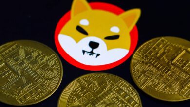 Analist Bu Altcoin Yatırımlık Dedi! Balinalar Atak Etti!