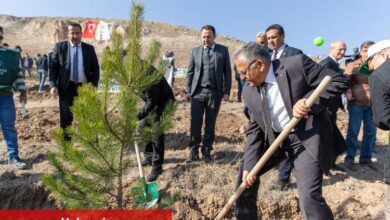 Bakanlık ve ile Büyükşehir Belediyesi’nden Erciyes’te ağaçlandırma töreni