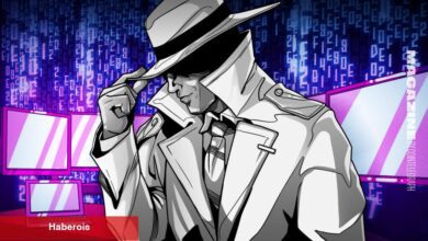 Beyaz Şapkalı Hacker Kümesi SEAL, Kripto Tehditlerine Karşı İnovasyon