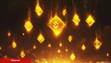 Binance, 53. Launchpool ile Bu Altcoin’i Tanıttı: İşte Listeleme Tarihi!