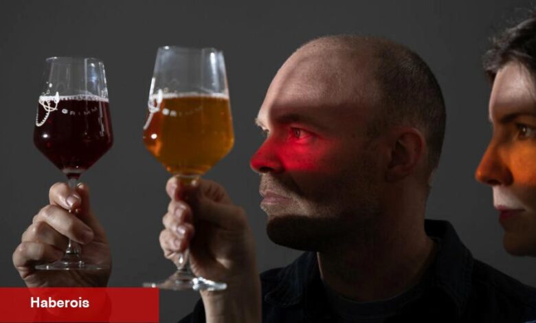 Bir Bira Fabrikası İyi Şarap Yapabilir mi? Bu Bira Üreticileri Evet Diyor. - Haberois Bir Bira Fabrikası İyi Şarap Yapabilir mi? Bu Bira Üreticileri Evet Diyor.