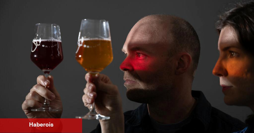 Bir Bira Fabrikası İyi Şarap Yapabilir mi? Bu Bira Üreticileri Evet Diyor.