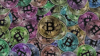 Bitcoin Geri Dönüyor: Bu 5 Altcoin, Ralliye Katıldı!