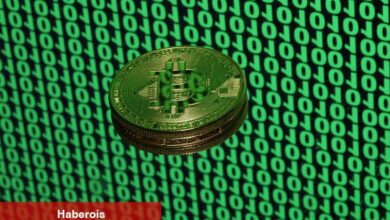 Bitcoin halving sonrası bazı meme coin'ler 20 kat yükselebilir