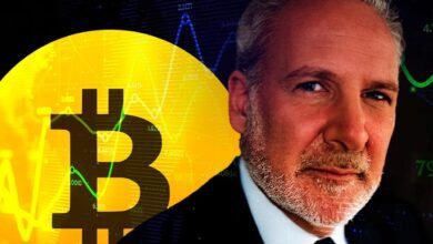 BitMEX, Altın Böceğinin Sert Bitcoin Tenkidine Karşılık Verdi!