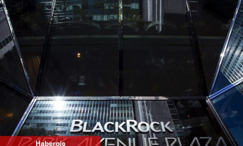 BlackRock İlk Çeyrekte Öngörülen Rakamları Aştı - Haberois BlackRock İlk Çeyrekte Öngörülen Rakamları Aştı