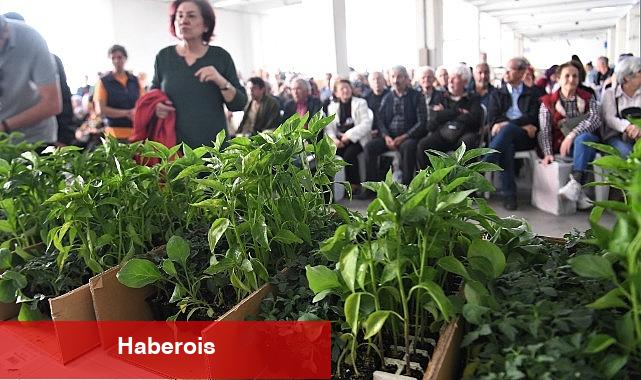 Bornova Belediyesi 500 bin fide dağıtıyor - Haberois Bornova Belediyesi 500 bin fide dağıtıyor