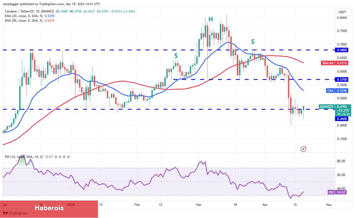 BTC, XRP, SOL, AVAX Coin ve Bu 6 Altcoin İçin Al-Sat Seviyeleri!