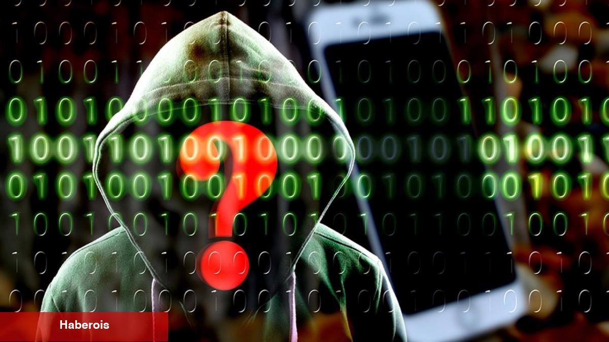 Bu DeFi Altcoin Hacker’ı Mahkum Oldu: Artık Ne Olacak?