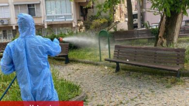 Bursa Osmangazi’den çevre dostu ilaçlama