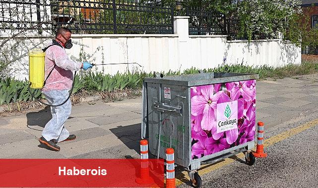 Çankaya Belediyesonden Gece Gündüz İlaçlama - Haberois Çankaya Belediyesonden Gece Gündüz İlaçlama