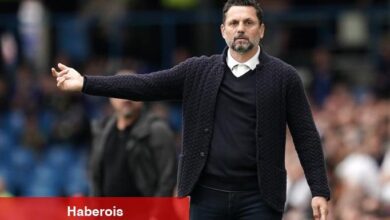Cardiff taraftarından Erol Bulut'a övgü yağmuru