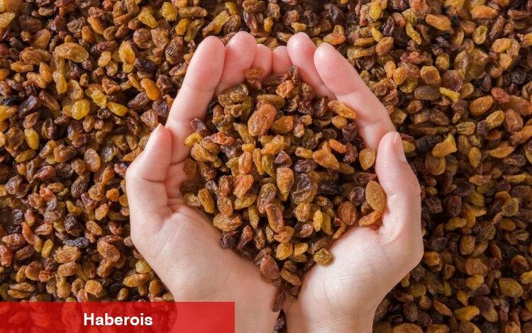 Çekirdeksiz kuru üzüm ihracatı arttı - Haberois Çekirdeksiz kuru üzüm ihracatı arttı