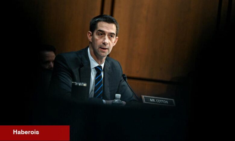 Cotton, Vatandaşları Filistin Yanlısı Protestocularla Zorla Yüzleştirmeye Çağırdı