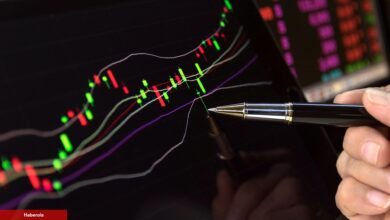 Deneyimli Analist: Gözler Bu 4 Altcoin’e Çevrildi!