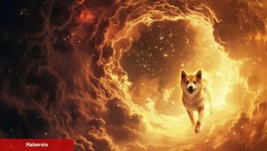 DOGE Değil: Ünlü VC, O Göğüs Coin İçin 100x’lik Artış Bekliyor!