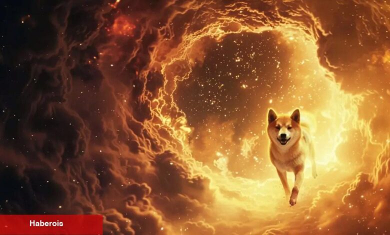 DOGE Değil: Ünlü VC, O Göğüs Coin İçin 100x’lik Artış Bekliyor! - Haberois DOGE Değil: Ünlü VC, O Göğüs Coin İçin 100x’lik Artış Bekliyor!