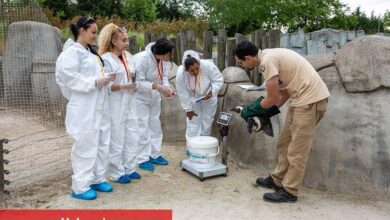 Erasmuslu öğrenciler Bursa Hayvanat Bahçesi’nde