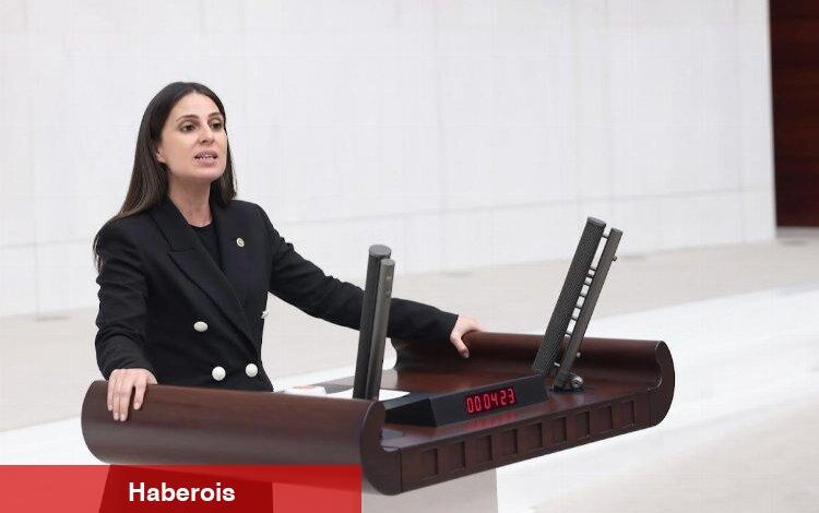 Gizem Özcan’dan Turizm Kanunu tepkisi