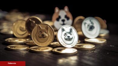 Göğüs Coin Çılgınlığı Geri mi Döndü?  Bu 5’i Uçuyor!