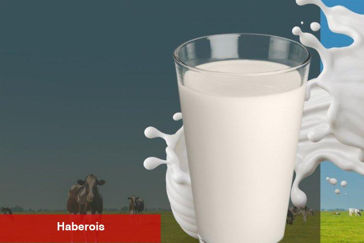 Günde en az 2 su bardağı süt dişleri güçlendiriyor