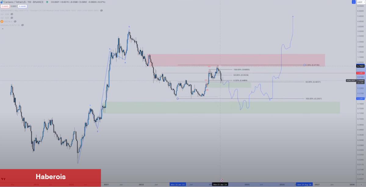 İki Analist Uyardı: Bu 2 Altcoin Çökebilir!