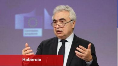 "İki yıl içinde nükleerden elektrik üretiminde tepe öngörülüyor"