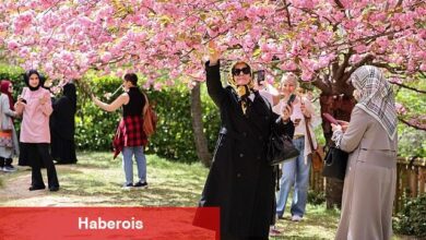 İstanbul Baltalimanı'ndaki Japon Bahçesi ziyaretçilerini hayran bırakıyor