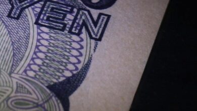 Japonya'nın döviz piyasasına girmesiyle Yen toparlandı