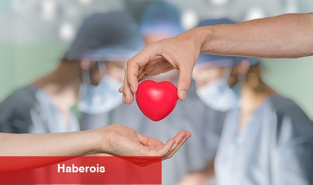 Kalp Kapağı Hastalıklarına Dikkat - Haberois Kalp Kapağı Hastalıklarına Dikkat