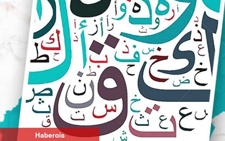 KAYMEK'te İngilizce ve Arapça kursu kayıtları başladı - Haberois KAYMEK'te İngilizce ve Arapça kursu kayıtları başladı