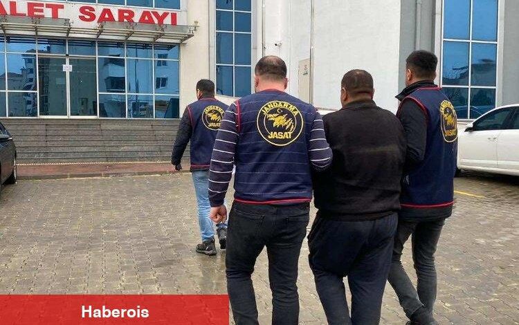 Keşan'da aranan kenevir ekicisi yakalandı!