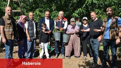 Kirazdaki ihracat hedefi 300 milyon dolara yükseldi