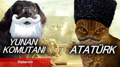 Kurtuluş Savaşı'nı Viral Kedi Görüntüleriyle Anlatan TikTok Hesabı Toplumsal Medyaya Sevinç Getirdi: İşte Gururlanırken Gülümseyeceğiniz Görüntüleri