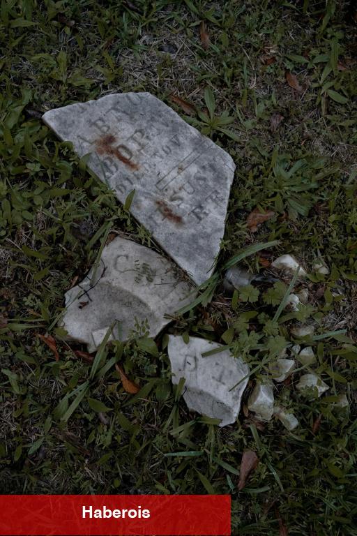 Mezarlıktan DNA Çubuğuna Kadar Charleston'ın Kölelik Tarihinin İzini Sürmek - Haberois Mezarlıktan DNA Çubuğuna Kadar Charleston'ın Kölelik Tarihinin İzini Sürmek