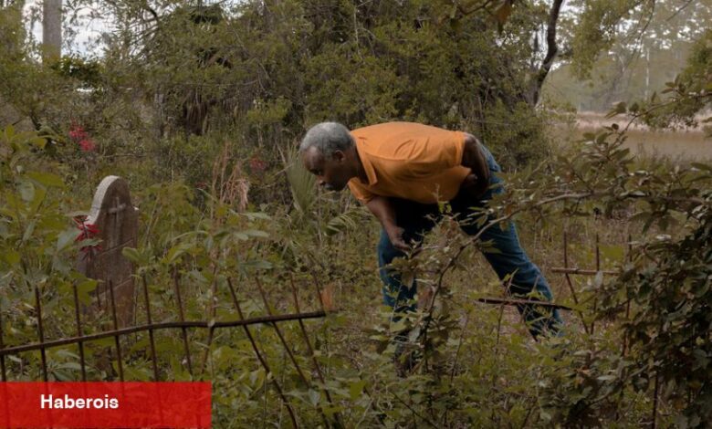 Mezarlıktan DNA Çubuğuna Kadar Charleston'ın Kölelik Tarihinin İzini Sürmek - Haberois Mezarlıktan DNA Çubuğuna Kadar Charleston'ın Kölelik Tarihinin İzini Sürmek
