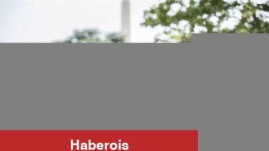 Microsoft hisseleri güçlü 3. çeyrek kazançlarıyla yükseldi